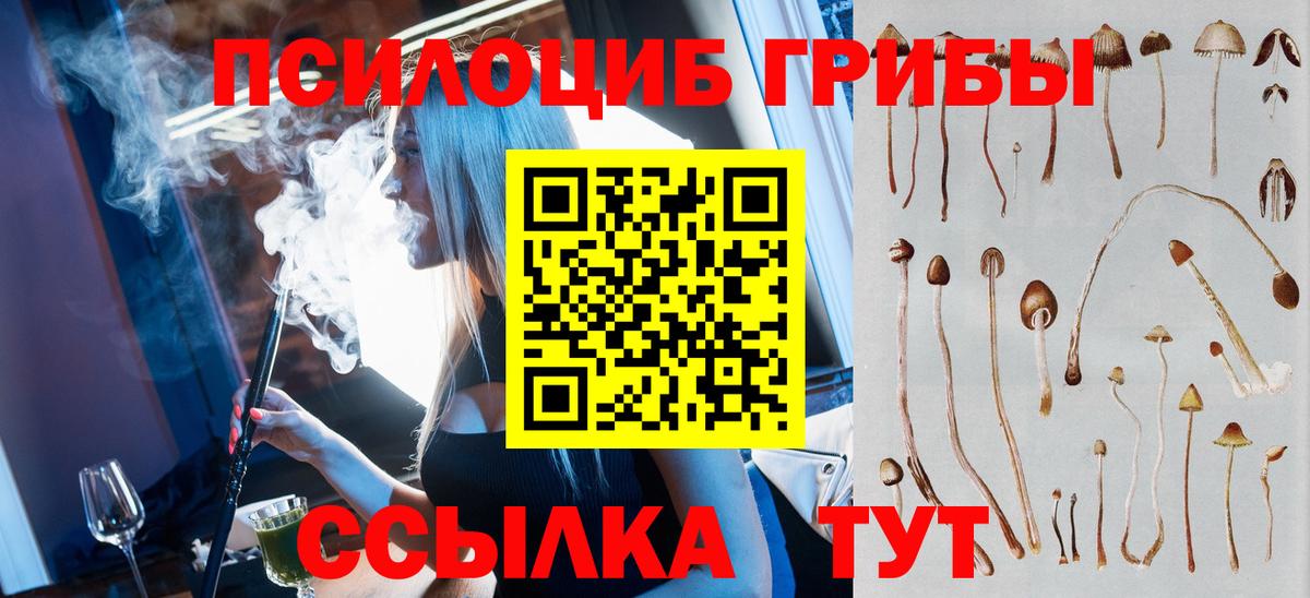 Галлюциногенные грибы прущие грибы Торжок