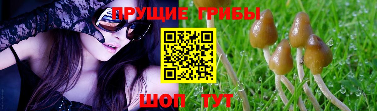 Торжок  Галлюциногенные грибы GOLDEN TEACHER  Вход с VPN 